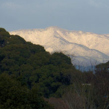 愛宕山の雪
