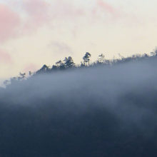 山霧